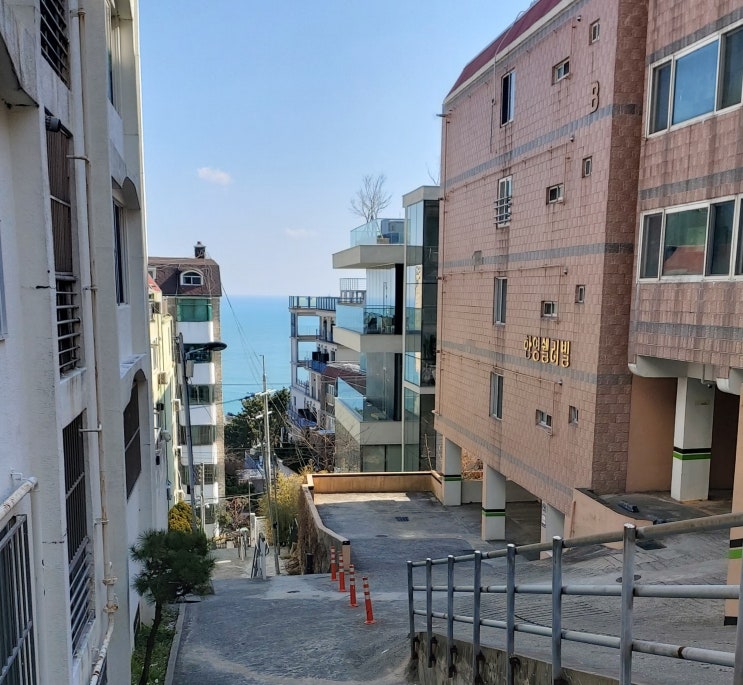 부산 편집숍 & 달맞이고개 한 바퀴