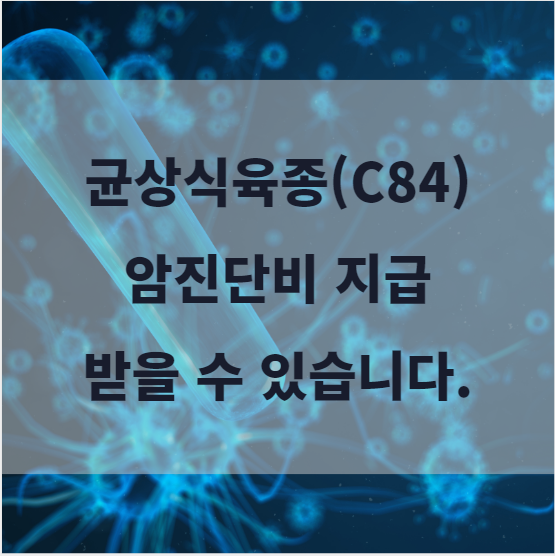 C84 균상식육종 암진단비 지급받을 수 있습니다.