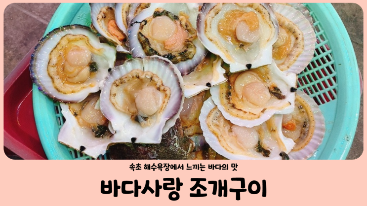  속초 여행 속초 해수욕장 조개구이 바다사랑