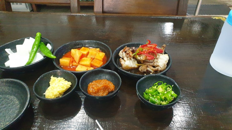 제주도민 맛집 백성원 해장국