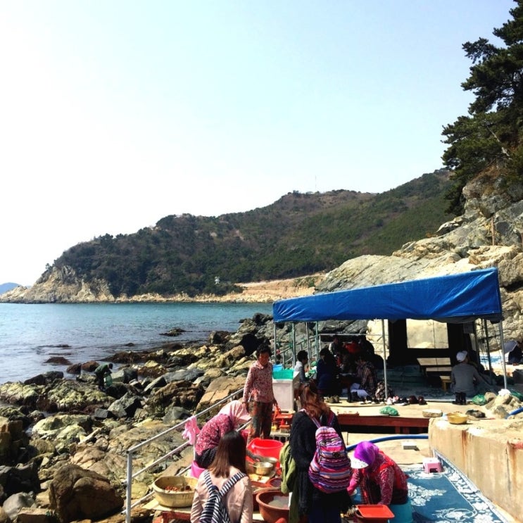  부산 여행 코스 추천 : 여긴 무조건 가야해! 부산 태종대 해녀촌