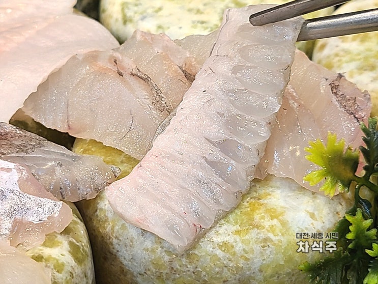 대전 대덕구 신대동 맛집 황금어장활어회 횟집 인정