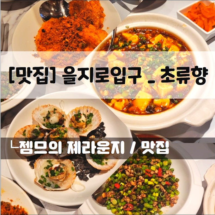  <을지로 중국집 / 초류향> 을지로입구역 맛집