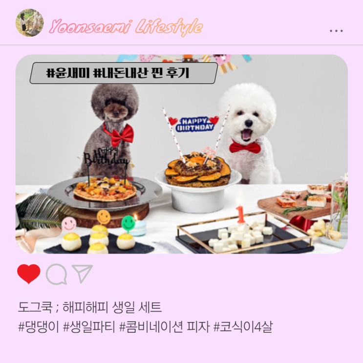  강아지 생일 피자 케이크 ; 펫푸드 도그쿡