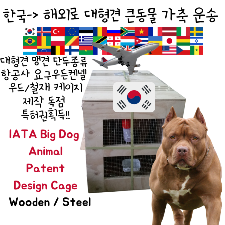  대형견 해외 운송시 동물원 동물 우든케이지 우드 메탈 철재 나무켄넬 제작 [특허완료!]