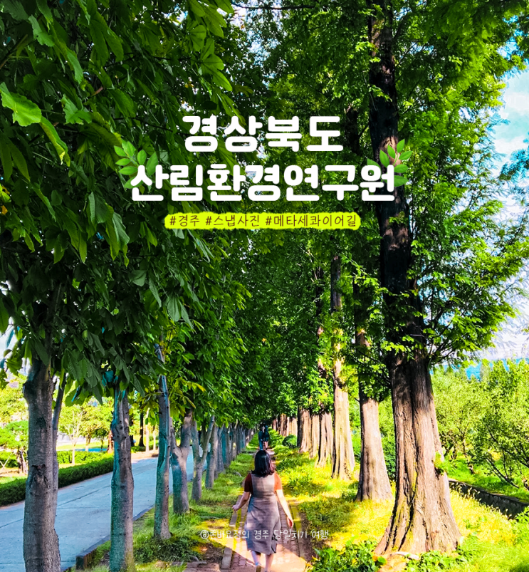  경주핫플레이스모음집_당일치기 먹부림여행 예쁜 스냅사진스팟추천 #황리단길 #경주산림환경연구원(연인편) 경주페이 할인꿀팁