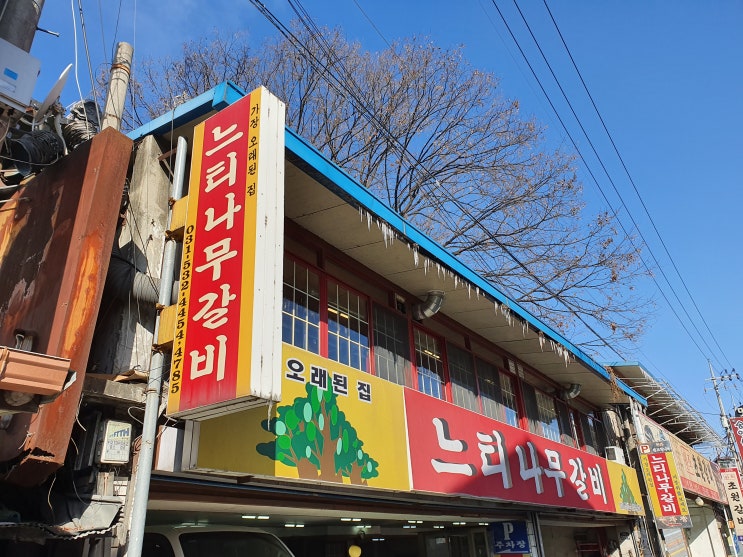  오래된 느티나무와 함께 하는 포천맛집 <느티나무 갈비> 포천이동갈비의 원조