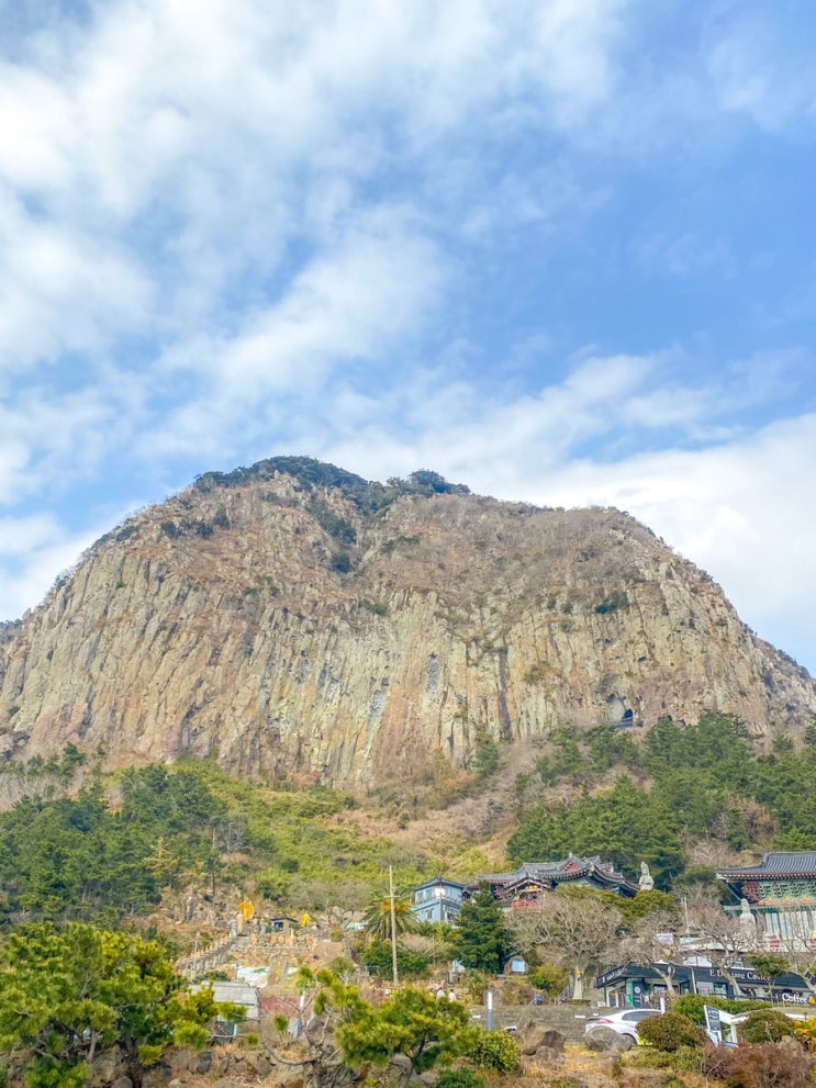  2월 제주도 여행지 추천 (바리메 오름/우유부단/산방산/유채꽃/사계생활)