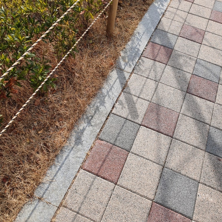  산책하는 일상