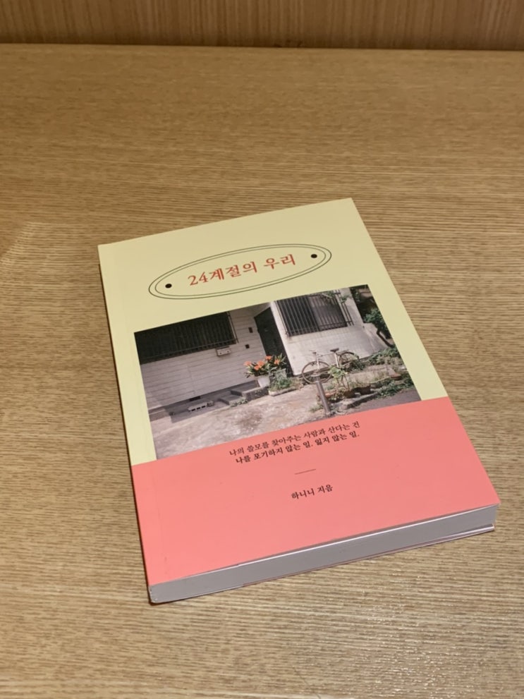  천방지축 뒤죽박죽 일상