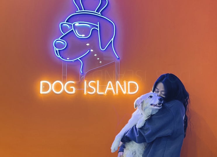  경기광주 애견카페 도그아일랜드, 애견동반 나들이!!