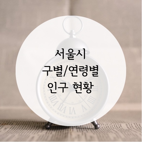  서울시 구별/연령별 인구 현황
