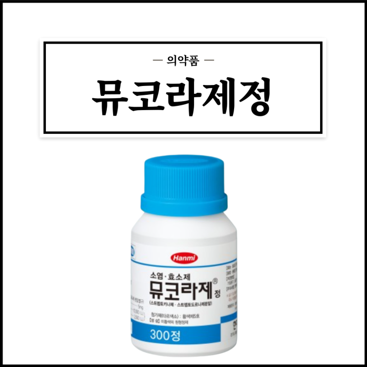  뮤코라제정, 효능효과/복용법/부작용/주의사항 등 간단정리
