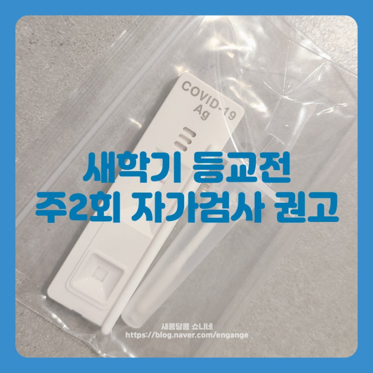  새학기 등교전 주2회 자가검사 권고