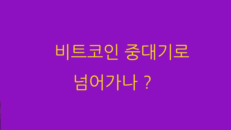  비트코인 중대기로