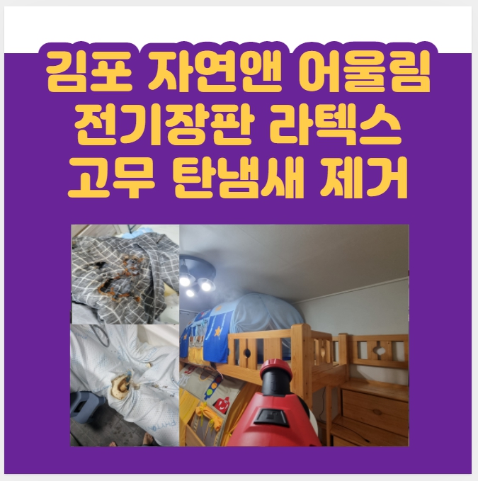  김포 전기장판으로 인한 고무 라텍스 매트리스 탄냄새 제거에 보험은?