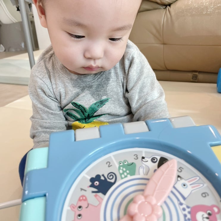 [하베브릭스 변신큐브] 6in1 가성비갑 육아템 8개월 남아 장난감