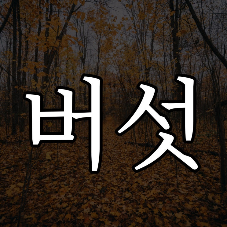  5ch - 처음 보는 버섯 / 레전드 공포 이야기