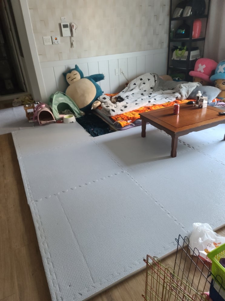  코코비비)애기들을 위한 매트깔기