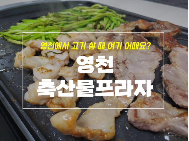  영천 정육점 축산물프라자 추천 삼겹살 목살 소고기까지