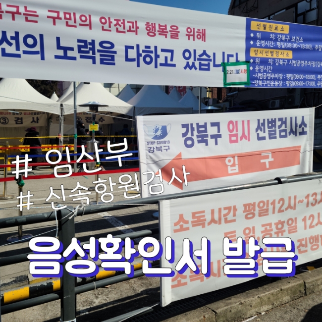  임산부 PCR, 신속항원검사로 음성확인서 발급받기 (비용, 시간)
