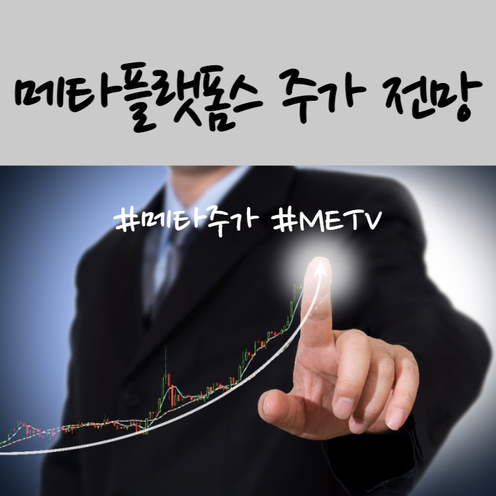 메타플랫폼스 CLASSA 주가 하락 이유 및 기업분석(ft. 메타버스ETF METV 전망)