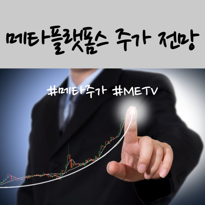  메타플랫폼스 CLASSA 주가 하락 이유 및 기업분석(ft. 메타버스ETF METV 전망)