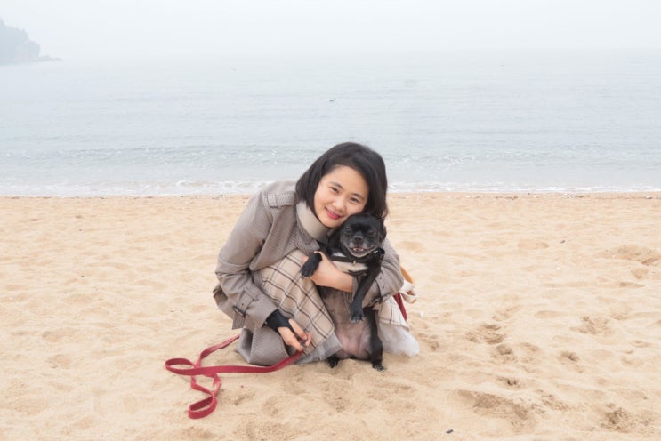  을왕리 애견동반 펜션 비치힐뷰하우스 다녀왔어요