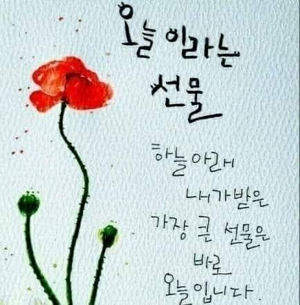 수능<b>6관왕</b> 취업4관왕-지난육아이야기4