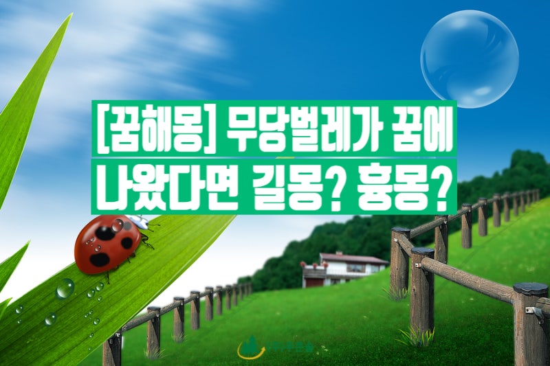 [꿈해몽] 무당벌레가 꿈에 나왔다면 길몽? 흉몽?