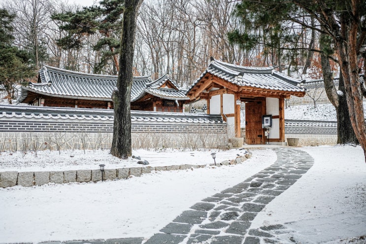 이색학과 ｜한옥문화산업과