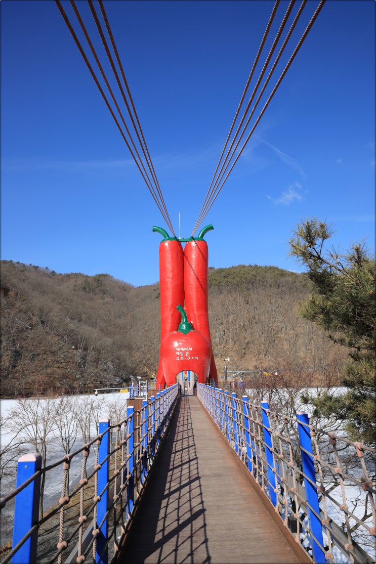  충남청양가볼만한곳 칠갑산 천장호출렁다리