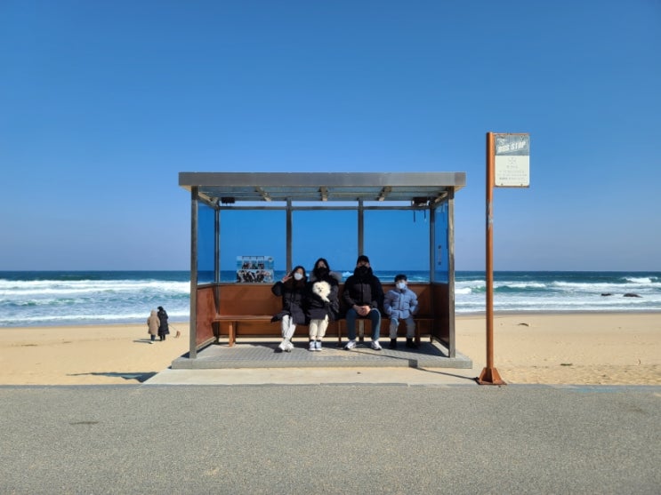  강원도 가족 여행 / 반려견 동반 평창 라마다호텔, 강릉 주문진 BTS 정류장, 도깨비 촬영지.