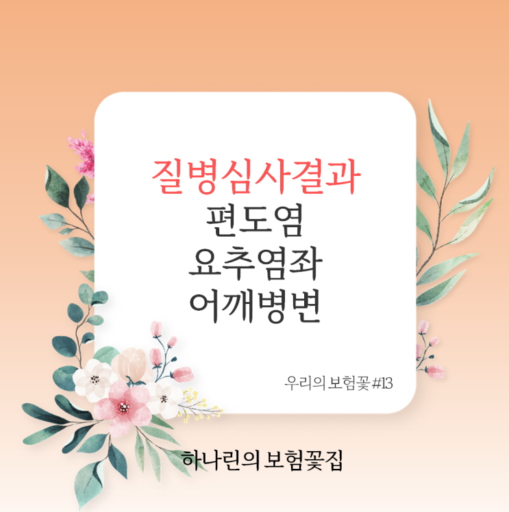  하나린의 보험꽃#13 편도염 요추염좌 어깨병변 질병 심사 결과 공유 실손의료비 어린이 종합건강보험 부담보 할증 승인 사례 KOICD 질병분류정보센터 참고 고지의무표
