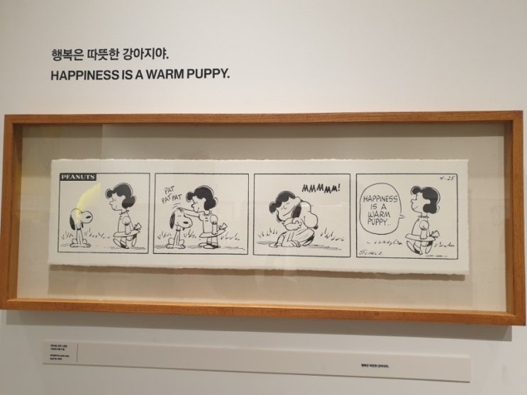  행복은 따뜻한 강아지야