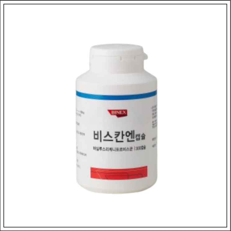  장염약 비스칸엔캡슐, 성분/효능효과/먹는법/주의사항 알고 드세요~