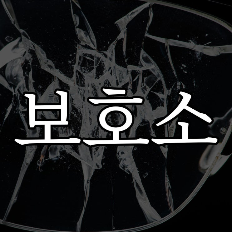  미국 보호소 괴담 / 번역 소름돋는 무서운 이야기
