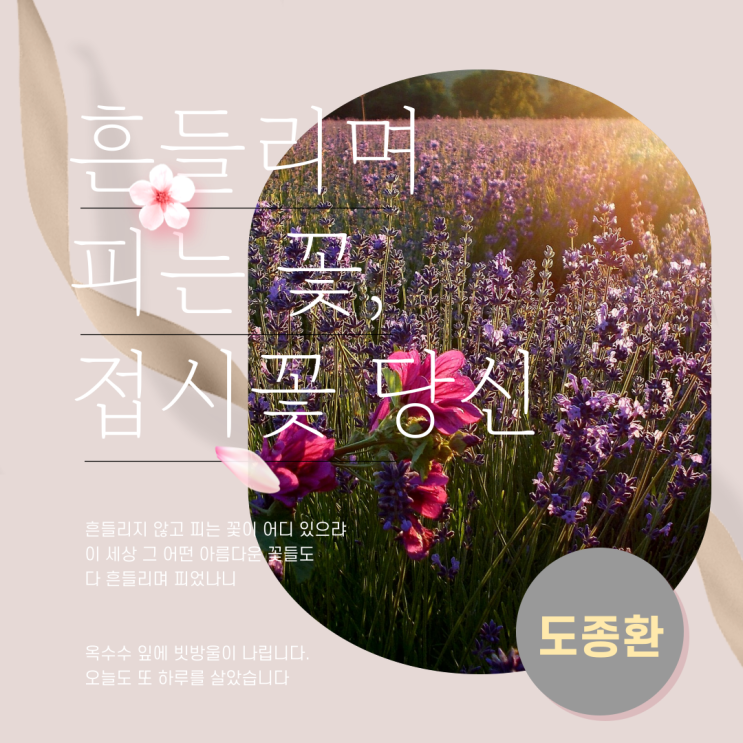  도종환시 흔들리며 피는 꽃, 접시꽃 당신 | 꽃시 사랑시