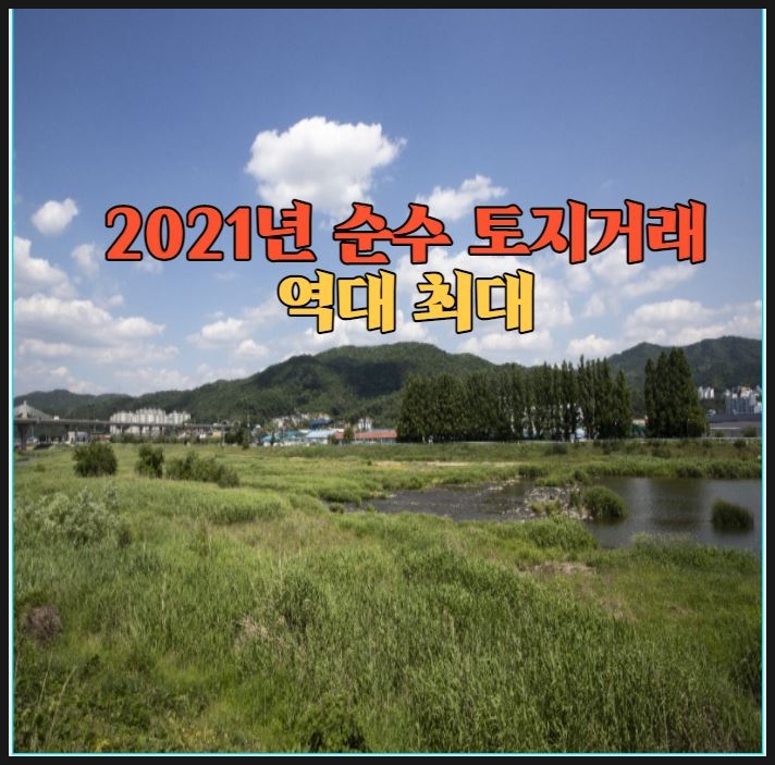  2021년 순수 토지거래 역대 최대