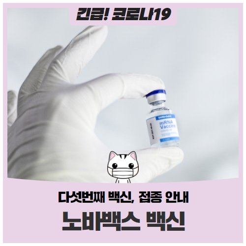 ‘노바백스 백신’의 효과부터 접종예약까지 한방에 알려드립니다 ‘노바백스 백신’의 효과부터 접종예약까지 한방에 알려드립니다