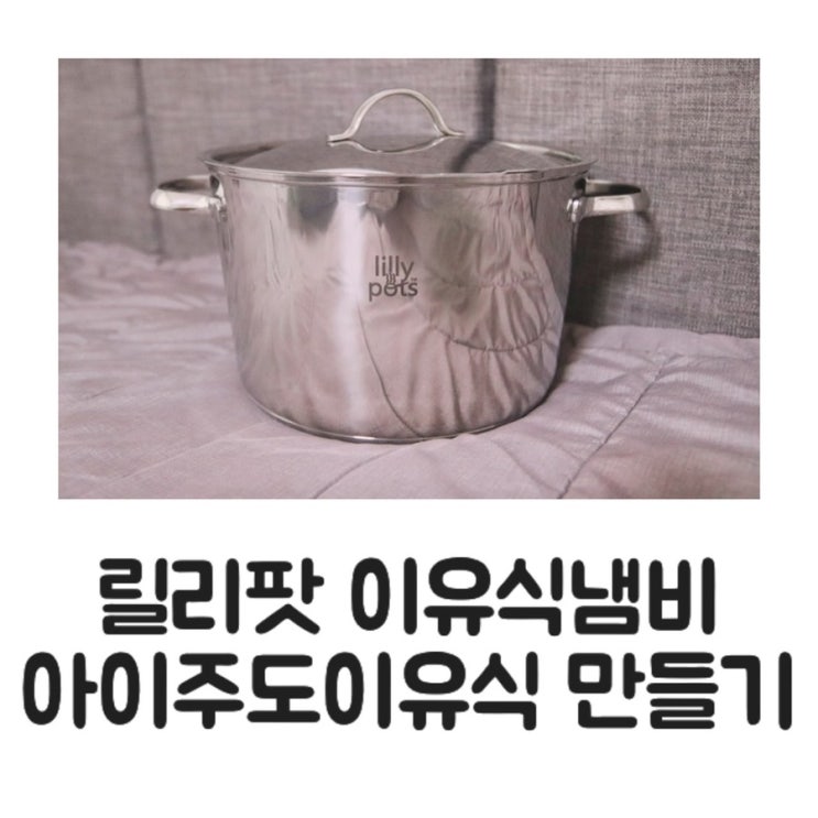 [육아템] 릴리팟 중기 이유식 육수냄비/대용량 이유식찜기/아이주도이유식 매시스틱 레시피