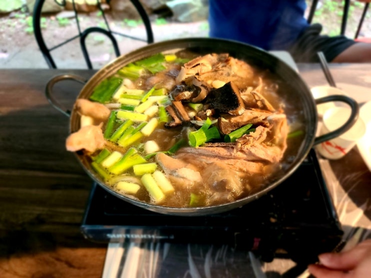  천안맛집 대한가든+60계치킨+회 내돈내산