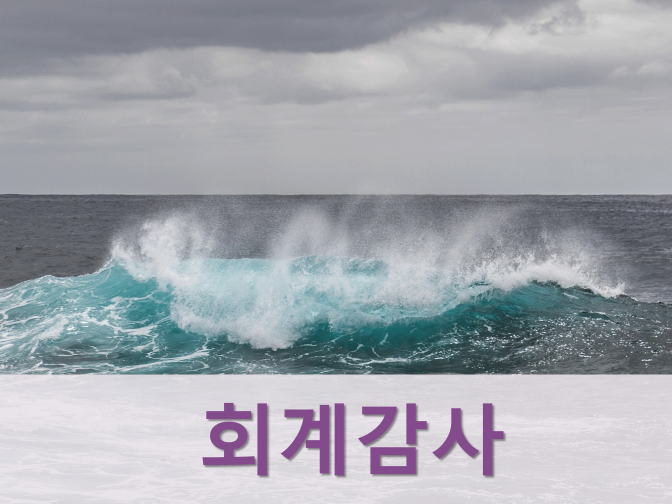  외감법인 회계감사 기준 및 대상