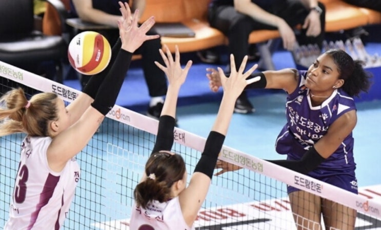KOVO 프로배구 21일 국내 여자배구 KGC인삼공사 도로공사 KOVO 프로배구 21일 국내 여자배구 KGC인삼공사 도로공사