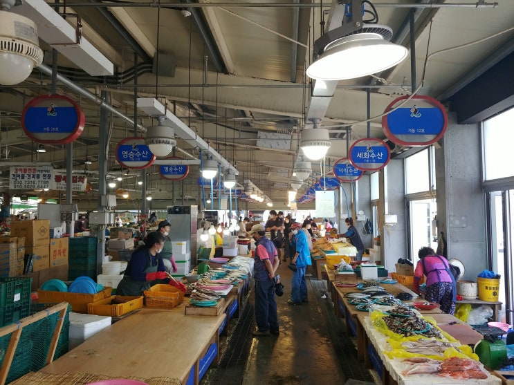 제주도 민속장 세화오일장 제주도 민속장 세화오일장
