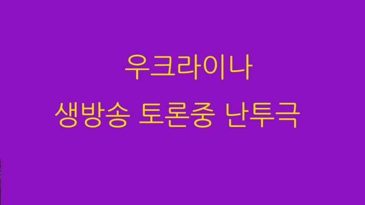  우크라이나 생방송 토론중 난투극