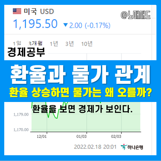 원달러환율이 폭등하면 외환위기가 오는 이유는? 환율과 물가의 관계