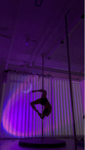 22.02.21 폴기록122. 코쿤