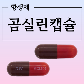  곰실린캡슐 대웅제약의 항생제 복용하기 전 체크해야 할 내용들