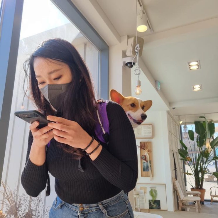  견체공학 고객리얼후기, 강아지 분리불안 개어멈이 선택한 애견어부바포대기